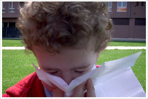 Alergia niño Alergia niño