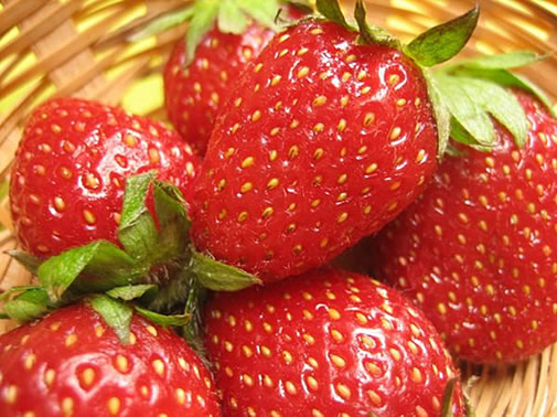 Frutilla