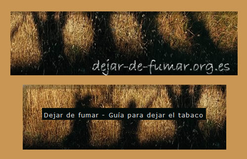 Salud-Dejar de fumar