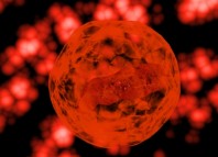 Qué son las células madre células madre