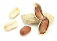 La alergia a los cacahuetes y su posible solución alergia cacahuete