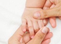 3 progenitores para un bebé sano bebe sano 3 progenitores