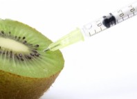 Cuando lo trans es malo: grasas trans y transgénicos grasas trans alimentos transgenicos