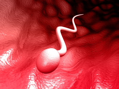Métodos anticonceptivos: masculino, químico y sin hormonas